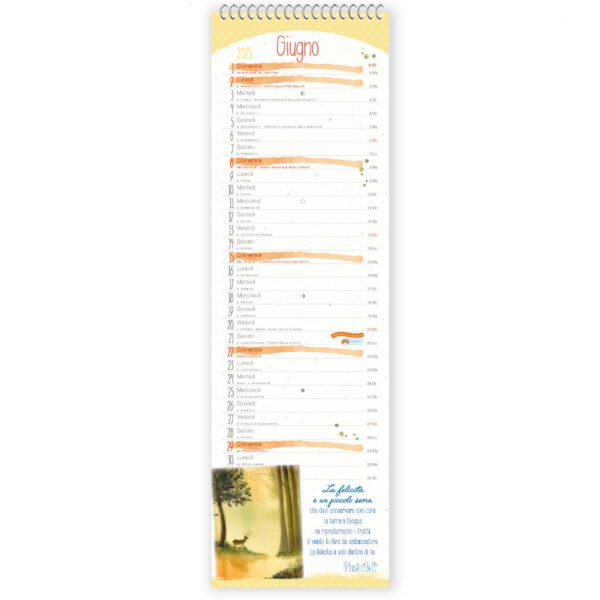 Calendario 2025 Pensieri Belli - Lungo - immagine 2
