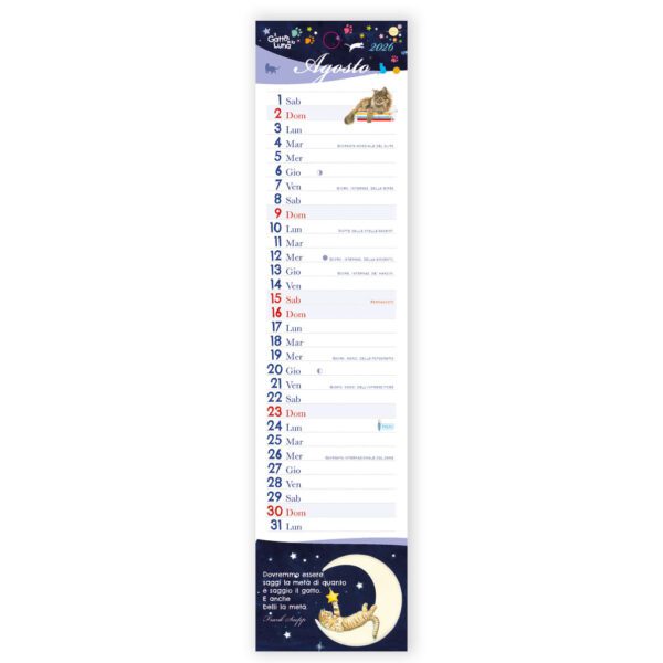 Calendarietto 2026 Gatto e la luna - immagine 2