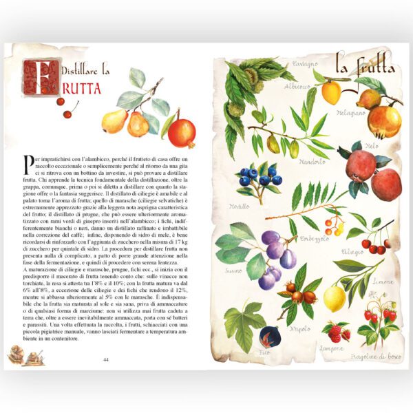 Grappe e Liquorini dalla cantina dell'Abbazia - immagine 2