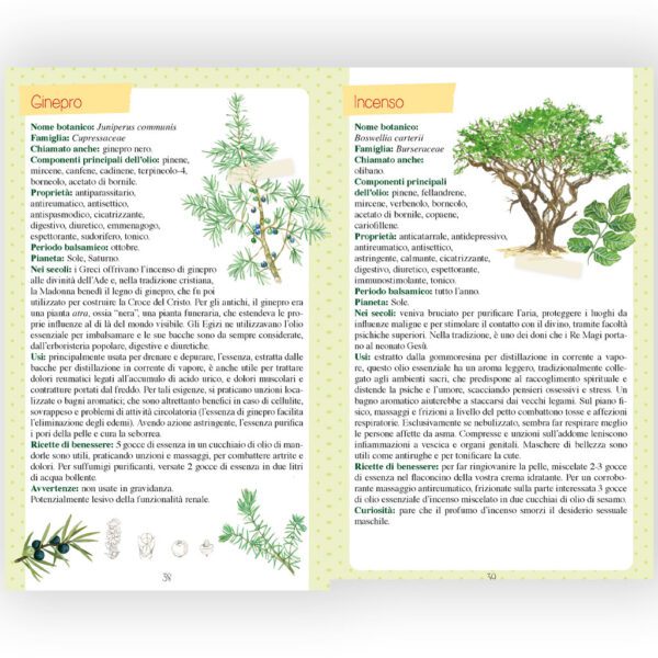 Oli essenziali e Aromaterapia - immagine 2