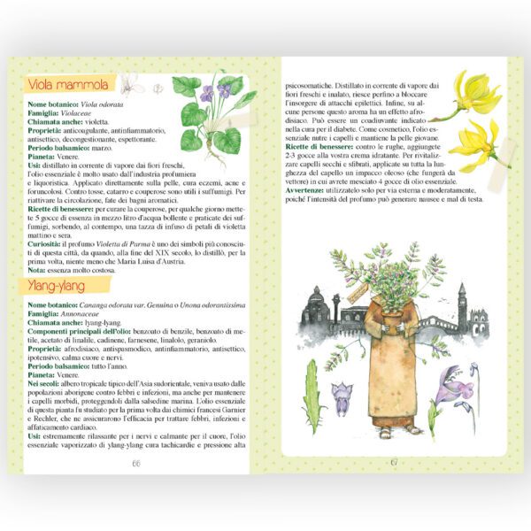 Oli essenziali e Aromaterapia - immagine 3