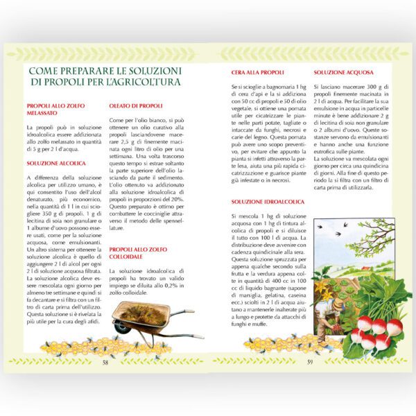 Miele polline propoli pappareale veleno d'api - immagine 3